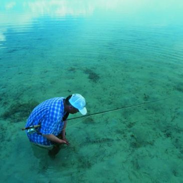 Watfischen auf Bonefish