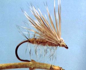 Bindeanleitung Buck Caddis