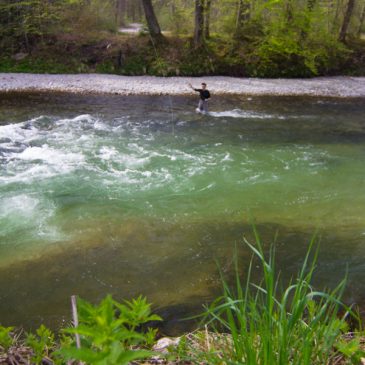 Fliegenfischen: Saisonbeginn an der Deutschen Traun