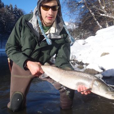 Fliegenfischen auf Huchen – Ein traumhafter Wintertag im Dezember