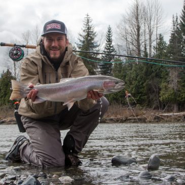 Fliegenfischen auf Steelhead – Frühjahr im Skeena Gebiet