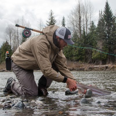 Catch & Release. Steelhead sind streng geschützt.